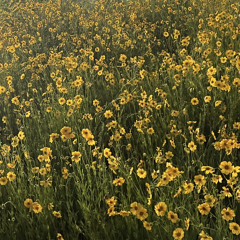 김소연_덩그러니