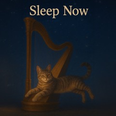 Sleep Now (made to play on repeat)