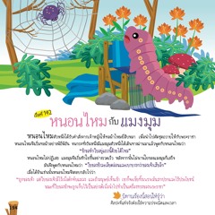 142 หนอนไหมกับแมงมุม