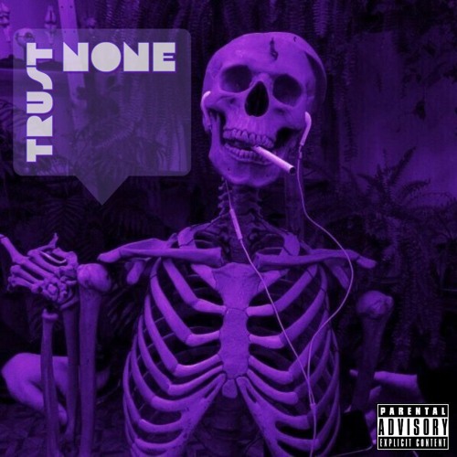 Trust None (prod. cody jane x sovde)