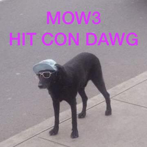 Mow3-Hit con Dawg (prod. Dawgrudy)