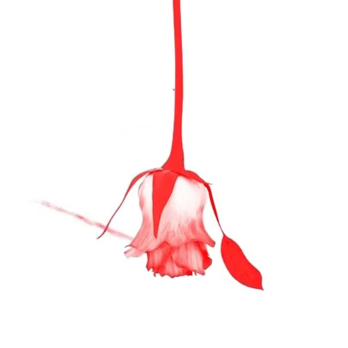 ThirstyOwe3k x BDS- Lights Out