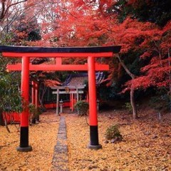 VICTORY SPEECH 2: The Tale of the Japanese Ancient Torii
