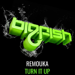 Remouka - Turn it Up
