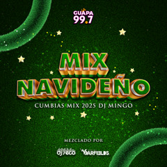 Cumbia Mix 2025 La Guapa DJ Mingo