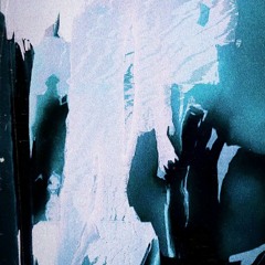 Le Paon Qui Boit - 2022.11.24