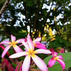 Ke Indahiengie Am Da Wan (Remake(