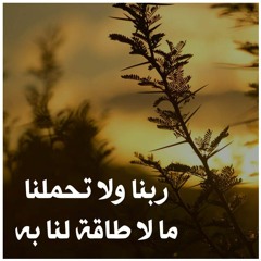 ربنا لا تؤاخذنا إن نسينا أو أخطأنا - بصوت د عمرو السيد