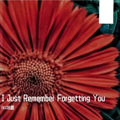 I Just Remember Forgetting You