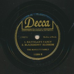 The McNulty Family: Rattigan's Fancy/Blackberry Blossom (reels)