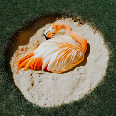 Doñana