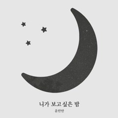 윤딴딴 - 니가 보고싶은 밤