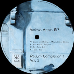 Premiere : Casimir von Oettingen - Maya's Fifteen Minutes (PLMCOMP001)