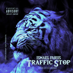 Traffic Stop (Prod. HolySonny)