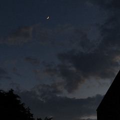 سورة القلم || عبد الرحمن السيد