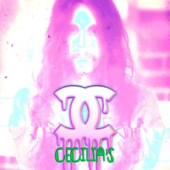 Live Set Cecilia's Breckenridge 25 - 02 - 01 (full set)