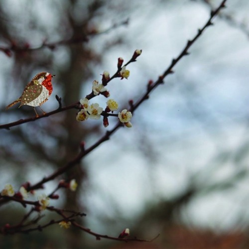 Dinle ruhum, aşkın ezanı gelir.