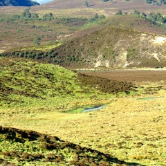 Dorback Moors, Scotland