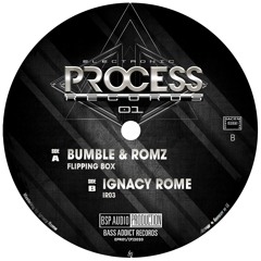 Electronic Process Records 01 - B1 Ignacy Rome - IR 03