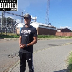 Buzzin Mula DreamZ!