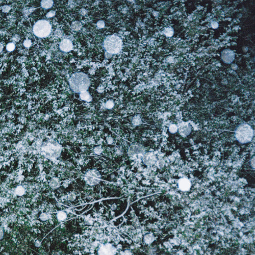 Flowing Circles