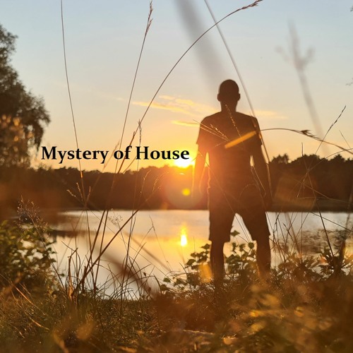 Mystery of House - Set - HW