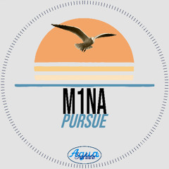 M1NA - Pursue (Original Mix) [Agua Salada Records]