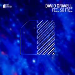 David Gravell - Feel So Free [High Contrast Recordings]