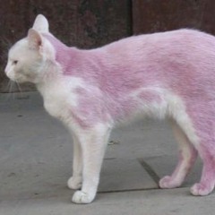 Leslie Hall - Tight Pants / Body Rolls 🐈(𝓓𝓐𝓝𝓒𝓔-𝓕𝓛𝓞𝓞𝓡-𝓚𝓘𝓣𝓣𝓨 𝓜𝓘𝓧)🐱