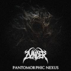PANTOMORPHIC NEXUS [FREE DL]