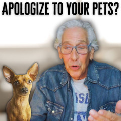 The-Pet-Show-10-25-25