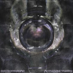 RADIO:TRAUMA 032: MOTH.SANCTUARY
