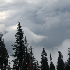 Take A Trip (Prod. By Sekawnee x Allen604)