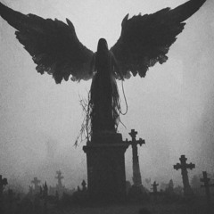 TransilvaniaRotterdam - I Bring Death