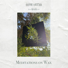 Meditations on Wax 444