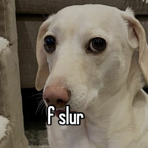 double take (sped up)