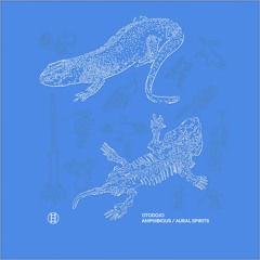 Otodojo - Amphibious/Aural Spirits LP (The Bunker New York BK-045)