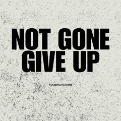 NotGoneGIveUp prod by purlz