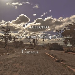 Concerto for Strings No. 2 op. 47 - 1. Andante