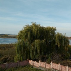 Techno Pulse 17-08-2023