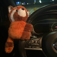 red panda (blxty exo rochambeau)