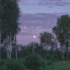 ❀ Шура - ты не верь слезам ❀ (speed up + stereo)