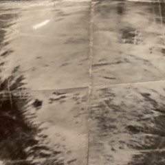 Giorgias Belly