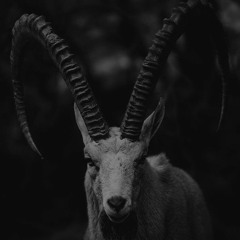 NOT2BEIDOLIZED Feat. ROYAL DANZA (Prod  By ROYAL DANZA) #THEPRELUDE