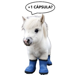 OssD @ Burning Man 2026  - Playa de Campeche