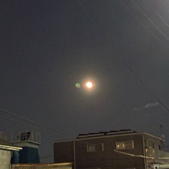 星になったあなた