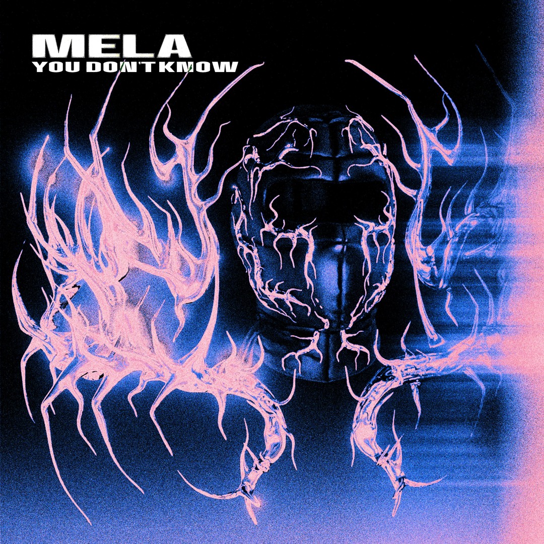 Stream You Don T Know Free Dl By Mela Listen Online For Free On