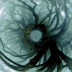 Triborte