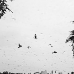 Flying