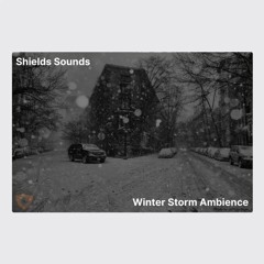 Shields Sounds - Winter Storm Ambience Demo